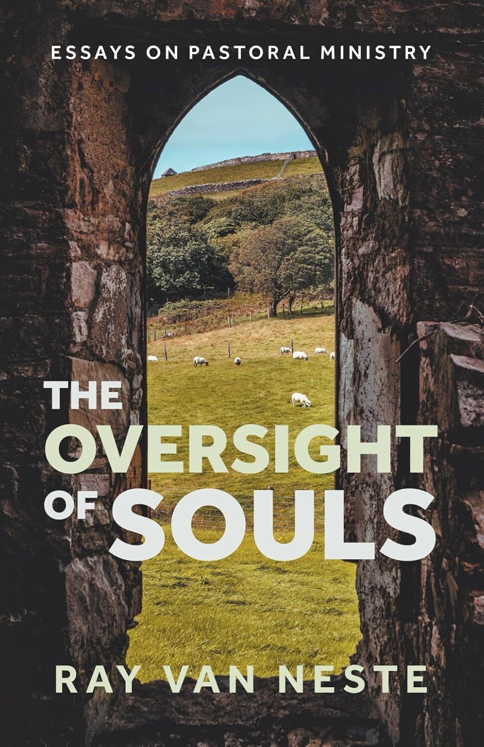 The oversight of souls: Essays on pastoral ministry